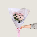 Chrysanthemum - Poppy Rose - Poppy Rose Flowers Brisbane