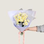 Chrysanthemum - Poppy Rose - Poppy Rose Flowers Brisbane