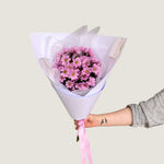 Chrysanthemum - Poppy Rose - Poppy Rose Flowers Brisbane