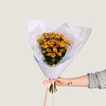 Chrysanthemum - Poppy Rose - Poppy Rose Flowers Brisbane