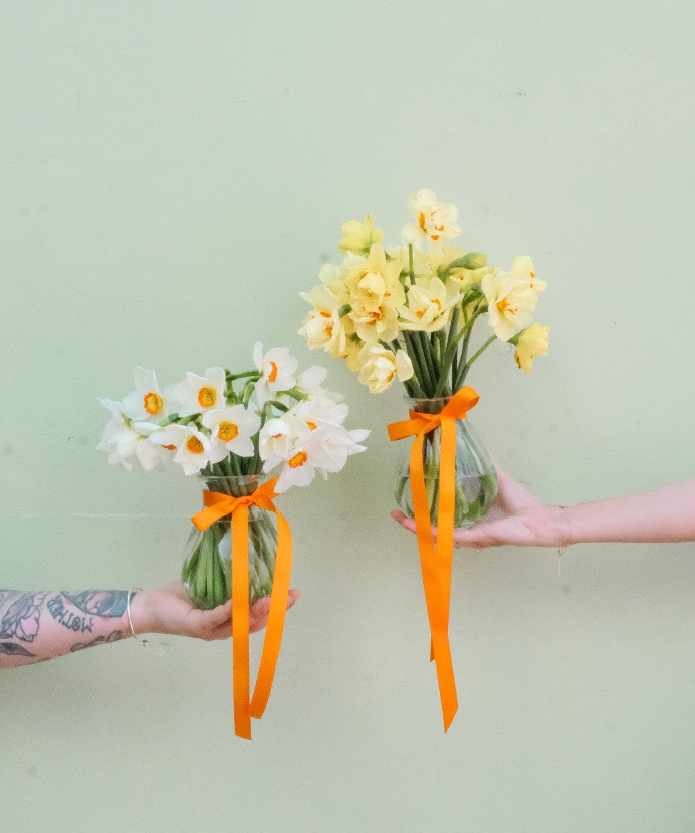 Daffodil Vase - Poppy Rose - Poppy Rose Flowers Brisbane