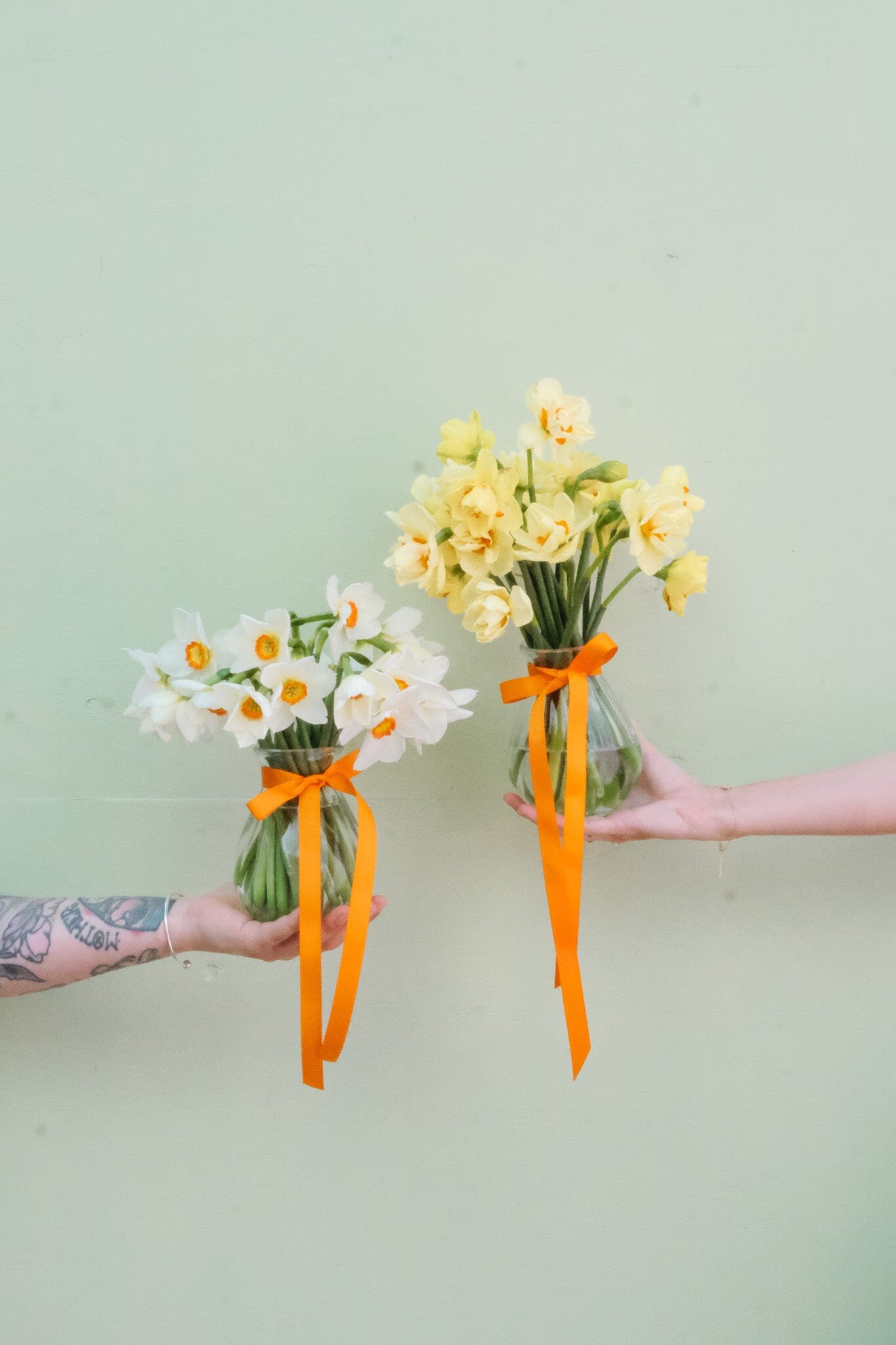 Daffodil Vase - Poppy Rose - Poppy Rose Flowers Brisbane
