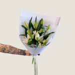 Oriental Lilies - Poppy Rose - Poppy Rose Flowers Brisbane
